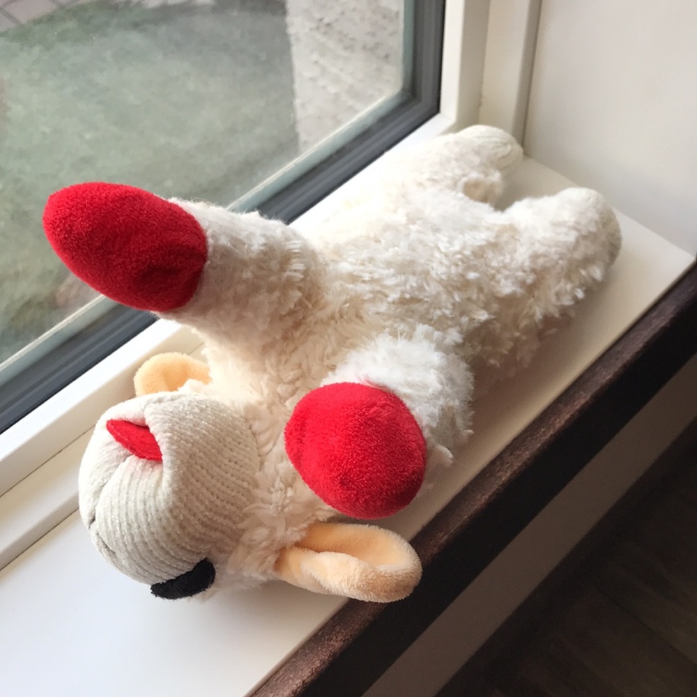 Mini Lamb Chop 🐑 - Picture 2 of 4